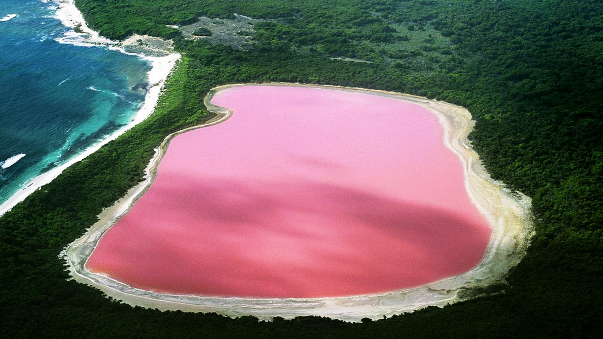Розовото езеро Хилиър (Lake Hillier)