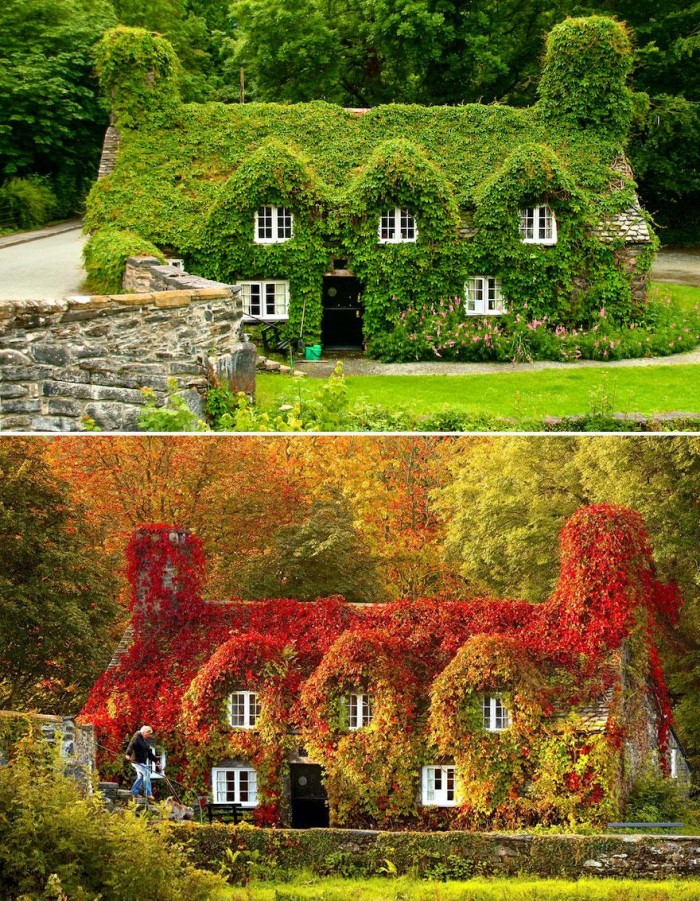 Снимки преди и след настъпването на есента