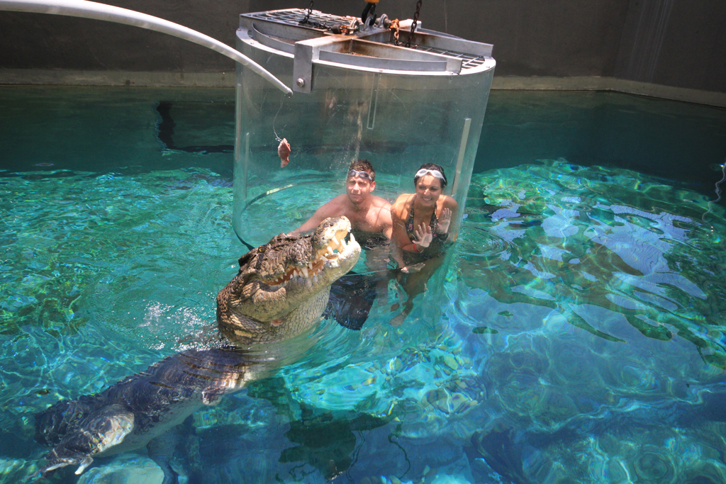 couple_close-up_high