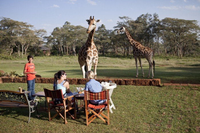 Stay-In-Hotel-Giraffe-Manor-Kenya-07
